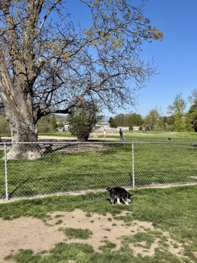 Ashland Dog Park - Ashland, OR