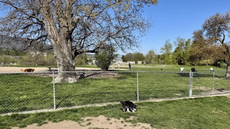 Ashland Dog Park - Ashland, OR