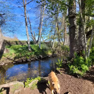 Ashland Dog Park - Ashland, OR