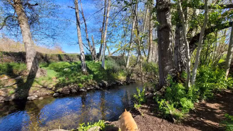Ashland Dog Park - Ashland, OR