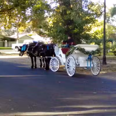 Bloss Park - Atwater, CA