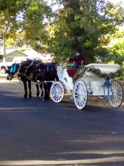 Bloss Park - Atwater, CA