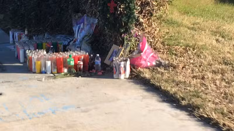 Joan Faul Park - Atwater, CA