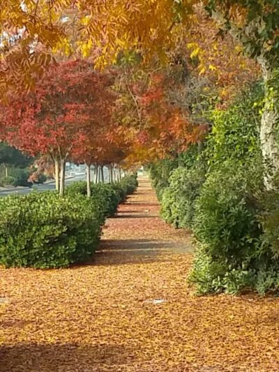 Joan Faul Park - Atwater, CA