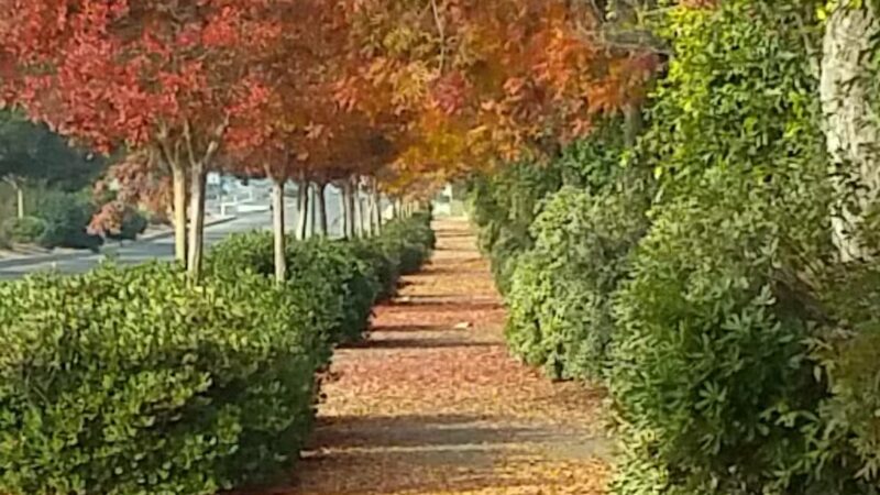 Joan Faul Park - Atwater, CA