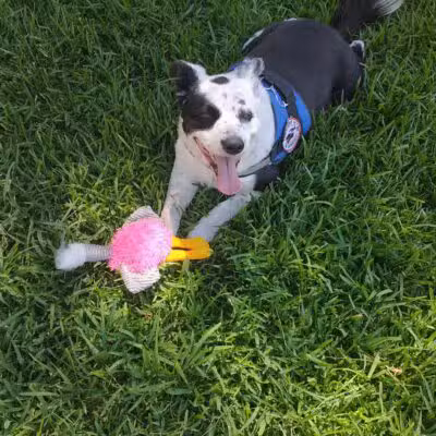 Ralston Park - Atwater, CA