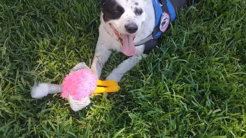 Ralston Park - Atwater, CA