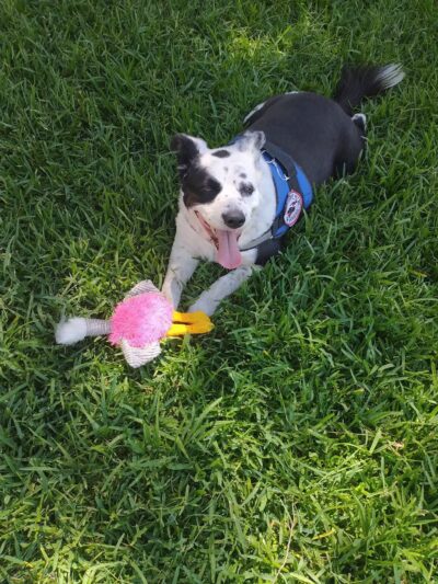 Ralston Park - Atwater, CA