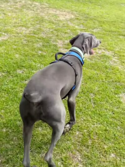 Ash Creek Park - Azle, TX