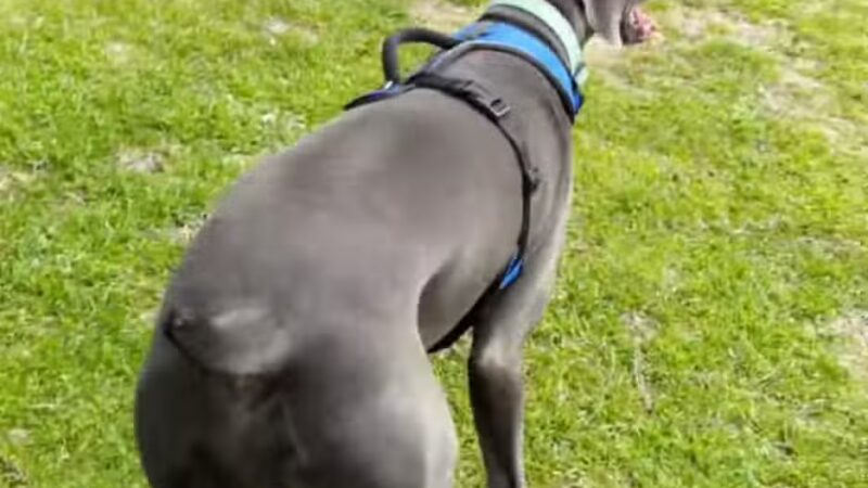 Ash Creek Park - Azle, TX