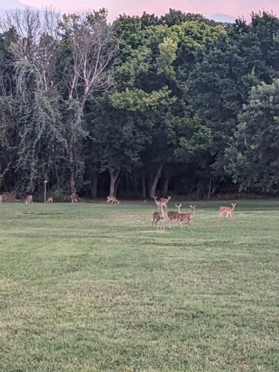 Ash Creek Park - Azle, TX