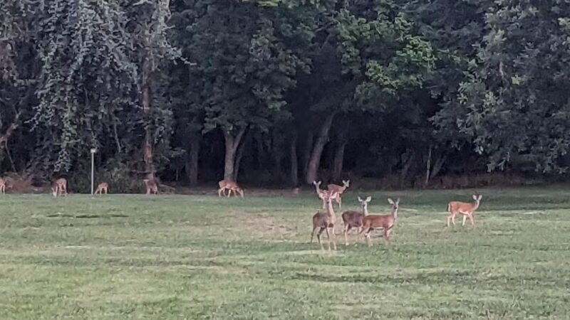 Ash Creek Park - Azle, TX
