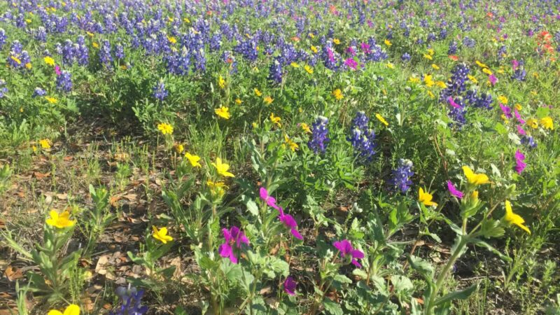 Friends in RV Spaces - Azle, TX