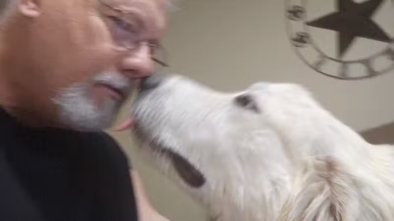Paws for Christ K-9 Training - Azle, TX