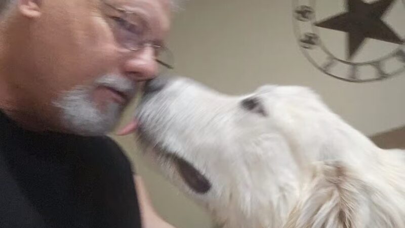 Paws for Christ K-9 Training - Azle, TX