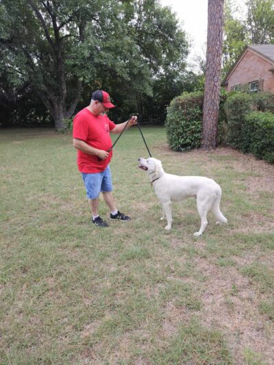 Paws for Christ K-9 Training - Azle, TX