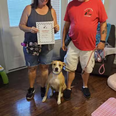 Paws for Christ K-9 Training - Azle, TX