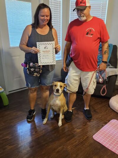 Paws for Christ K-9 Training - Azle, TX