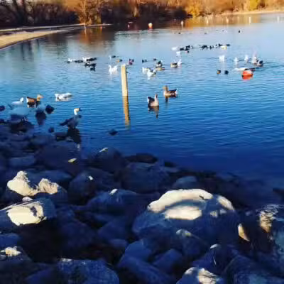 Shady Grove Park - Azle, TX