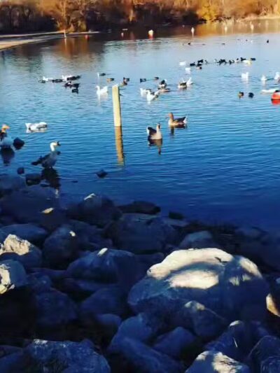 Shady Grove Park - Azle, TX