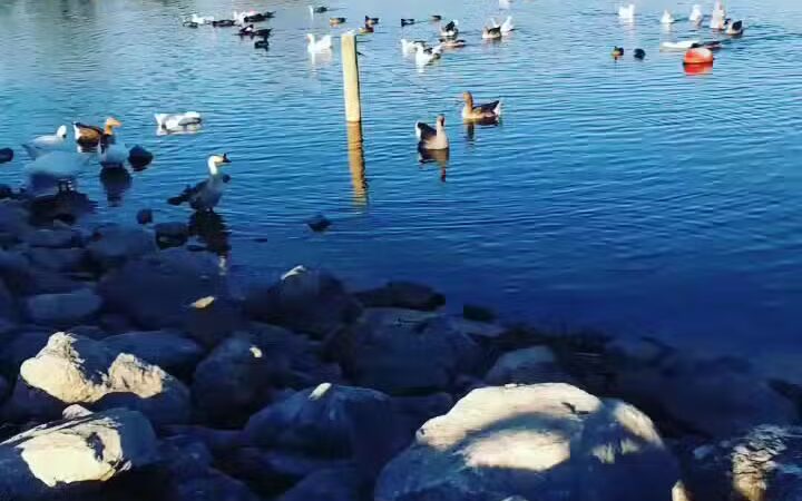 Shady Grove Park - Azle, TX