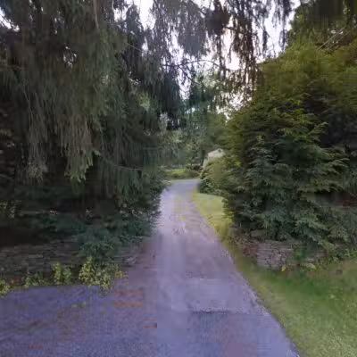 Afton dog park - Bainbridge, NY