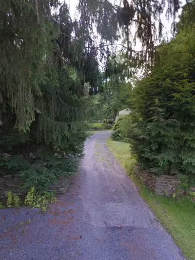 Afton dog park - Bainbridge, NY