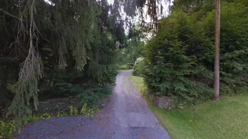 Afton dog park - Bainbridge, NY