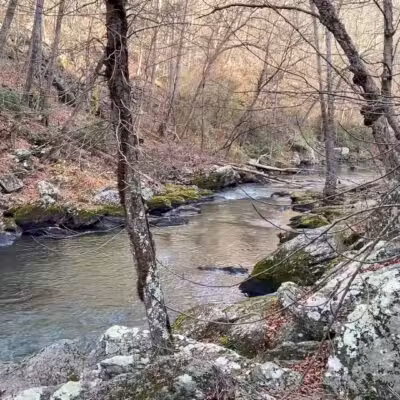 Gunpowder Falls State Park Sweet Air Area - Baldwin, MD