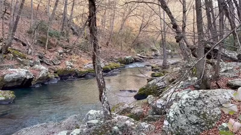 Gunpowder Falls State Park Sweet Air Area - Baldwin, MD