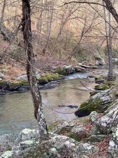 Gunpowder Falls State Park Sweet Air Area - Baldwin, MD