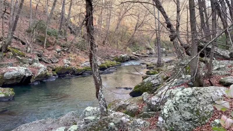 Gunpowder Falls State Park Sweet Air Area - Baldwin, MD