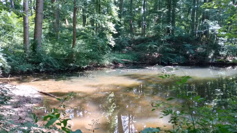 Gunpowder Falls State Park Sweet Air Area - Baldwin, MD