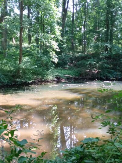 Gunpowder Falls State Park Sweet Air Area - Baldwin, MD