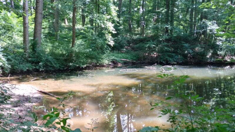 Gunpowder Falls State Park Sweet Air Area - Baldwin, MD