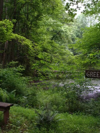 Gunpowder Falls State Park Sweet Air Area - Baldwin, MD