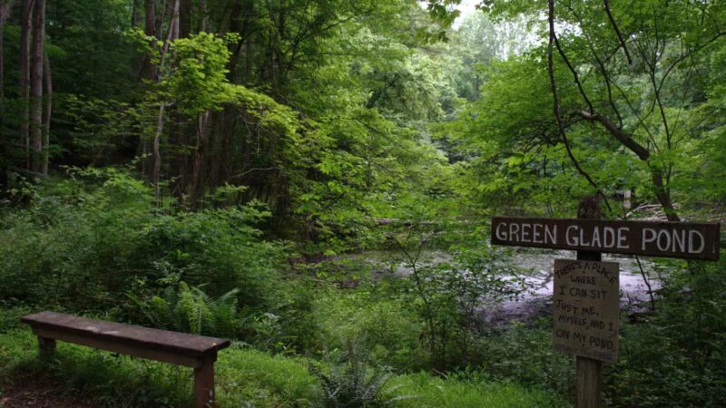 Gunpowder Falls State Park Sweet Air Area - Baldwin, MD