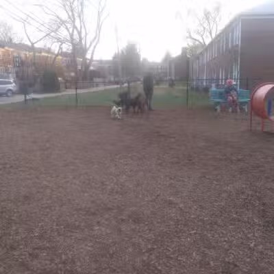 Bark Park - Baltimore, MD