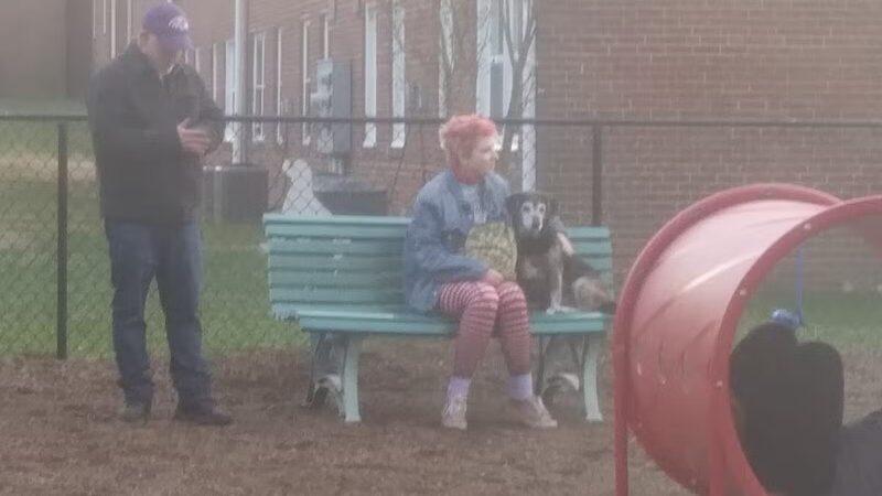 Bark Park - Baltimore, MD