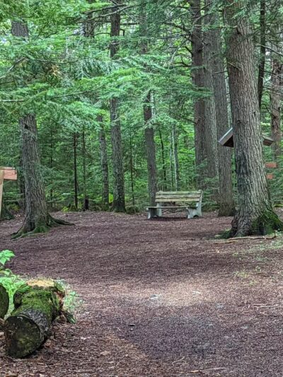 Brown Woods - Bangor, ME