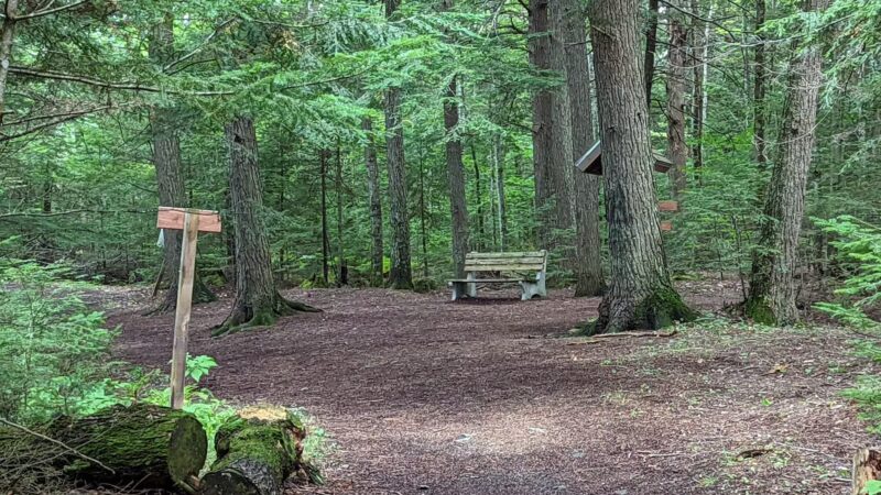 Brown Woods - Bangor, ME