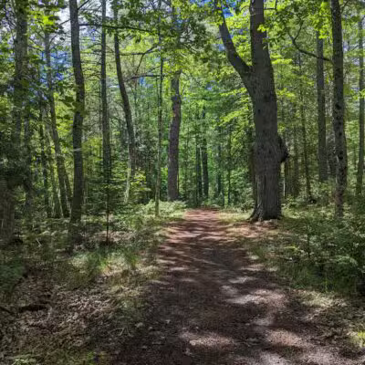 Brown Woods - Bangor, ME