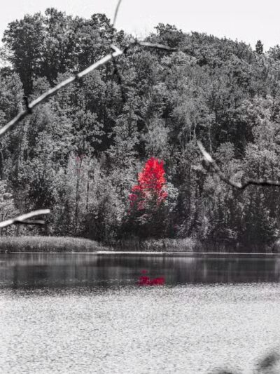 Barnum City Park Campground - Barnum, MN