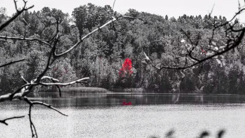 Barnum City Park Campground - Barnum, MN