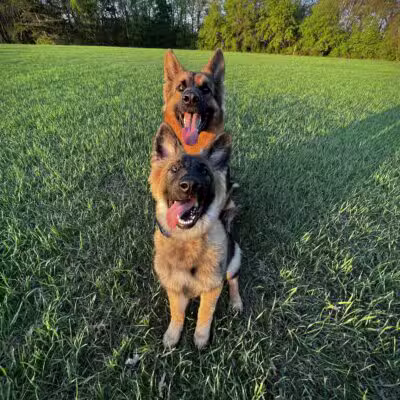 Liberty K9 Rescue Ranch - Barnum, MN