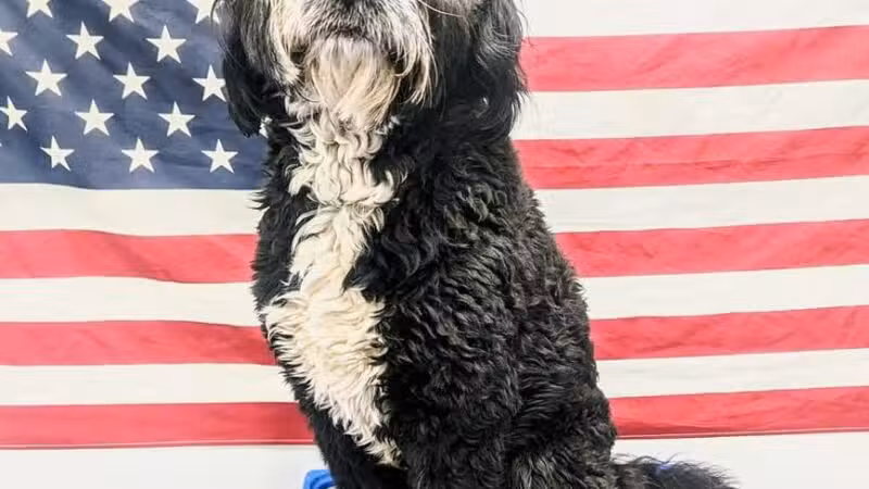 Liberty K9 Rescue Ranch - Barnum, MN