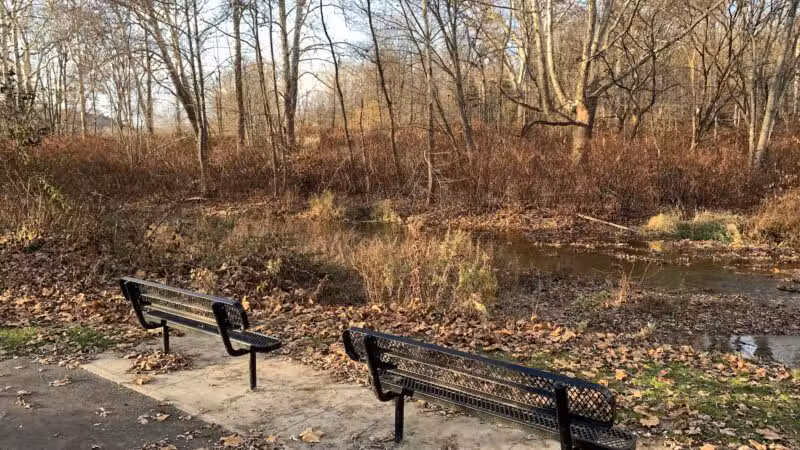 Ransom Park - Barton, NY