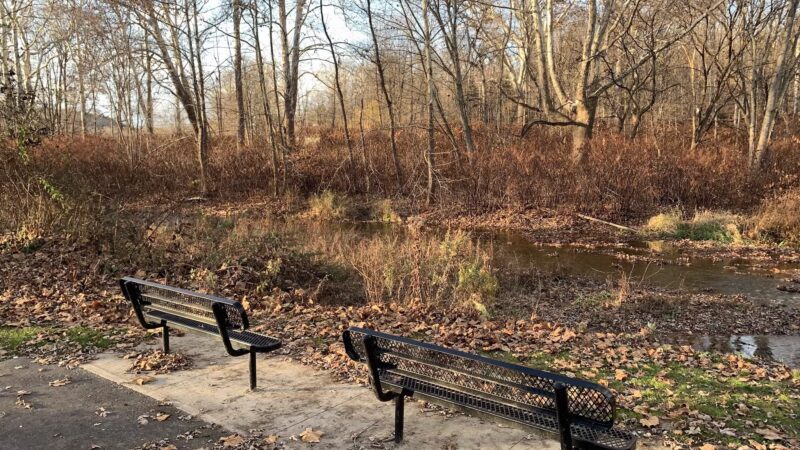 Ransom Park - Barton, NY