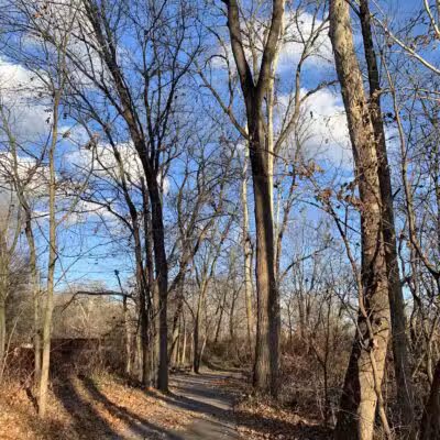 Ransom Park - Barton, NY