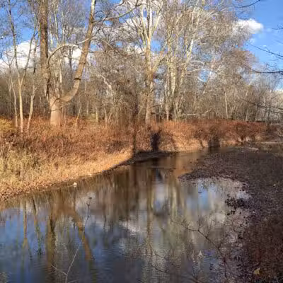 Ransom Park - Barton, NY